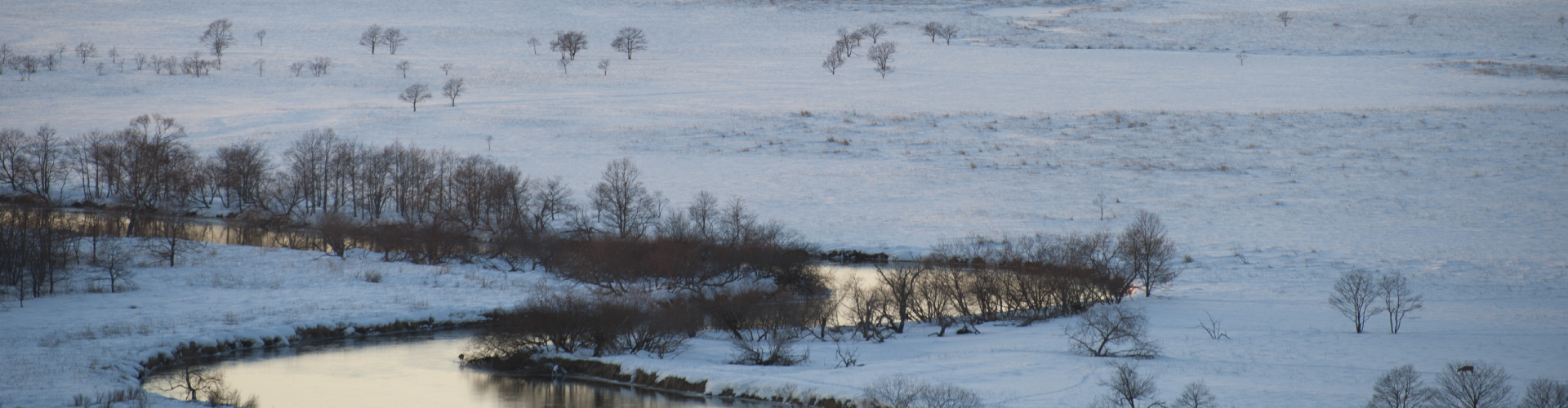 ご利用のご案内